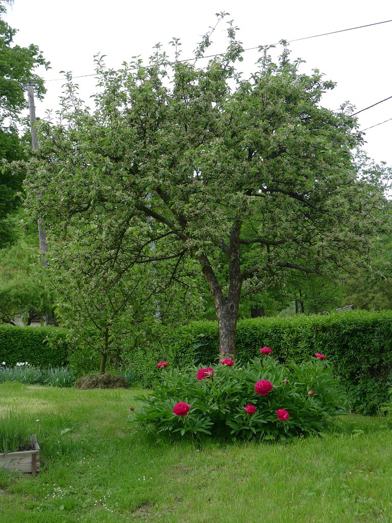 PavlaCzechVisit 223